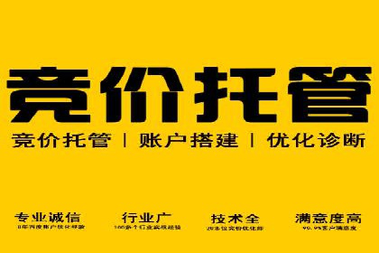 竞价排名技巧：如何有效进行网络推广